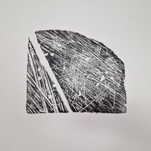 Raižiniai/ woodcuts